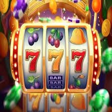 23win008