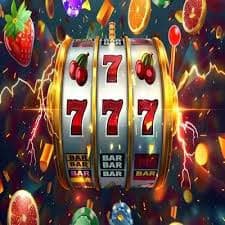 23win008