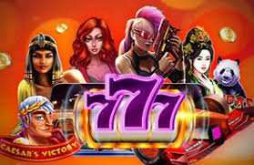 23win008